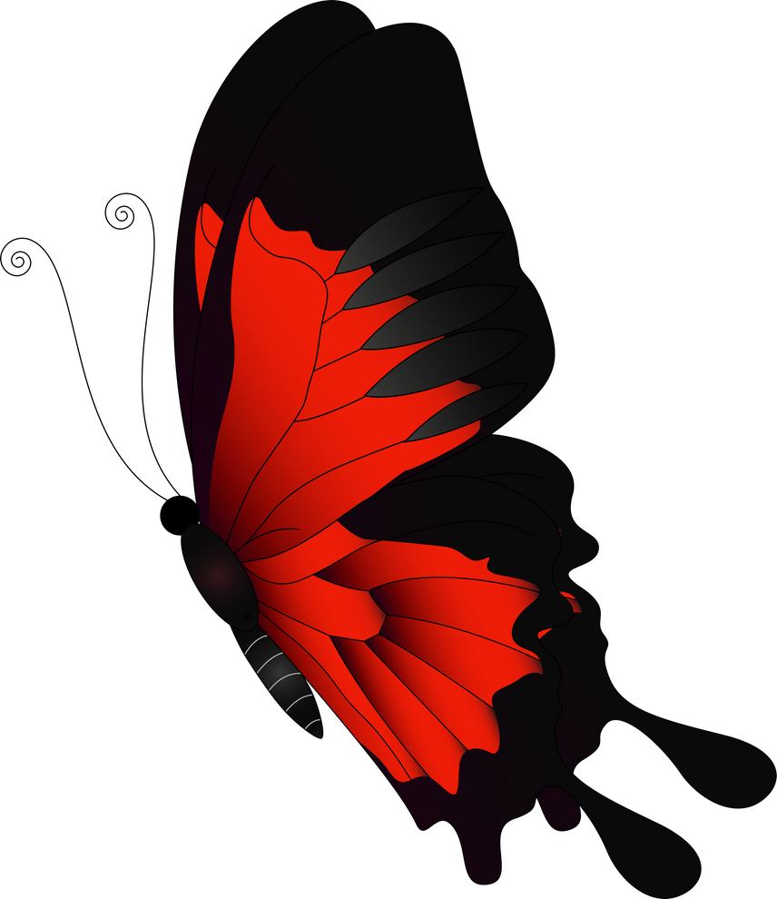 red butterfly illustration